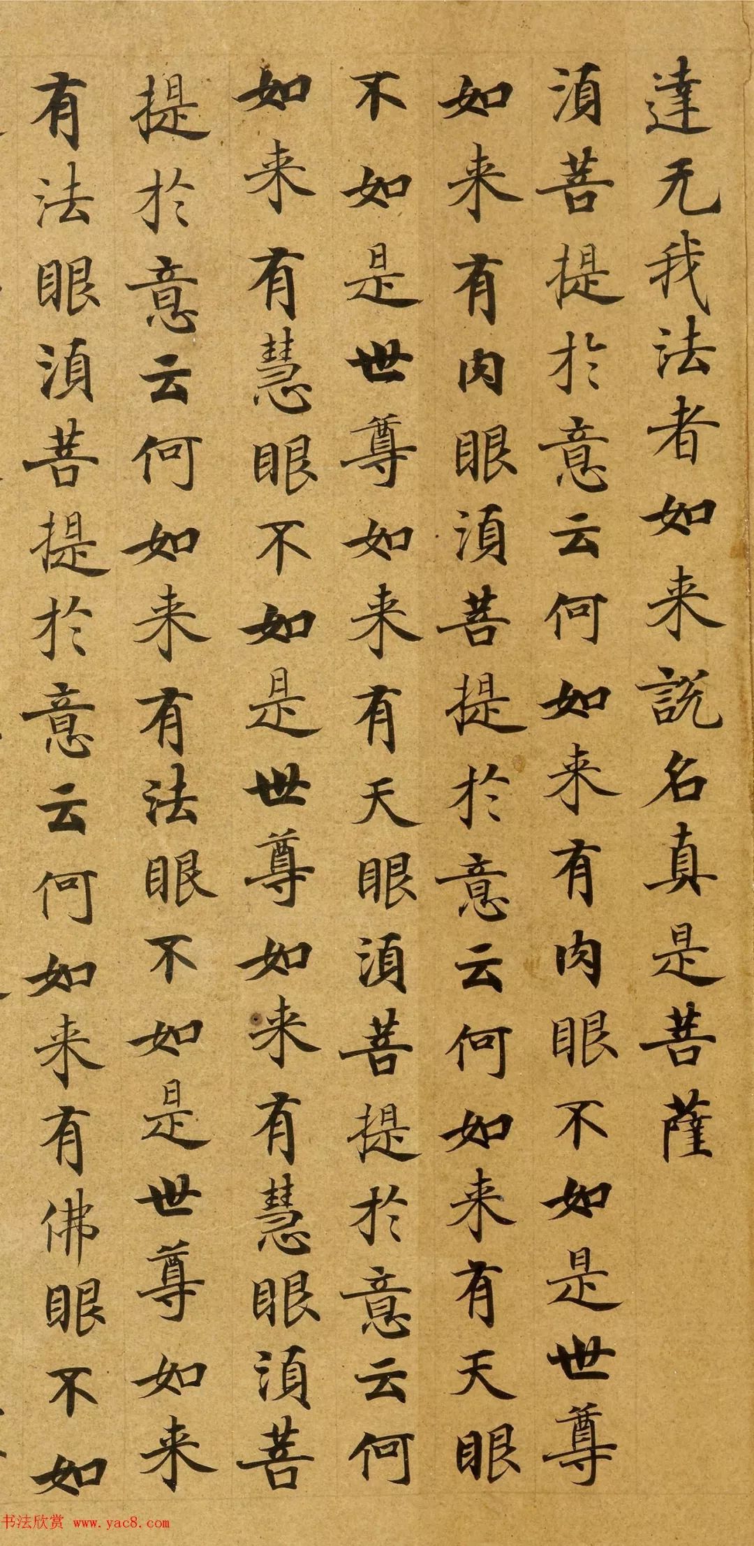 唐代劉弘珪楷書金剛經字體飄逸規整雋秀