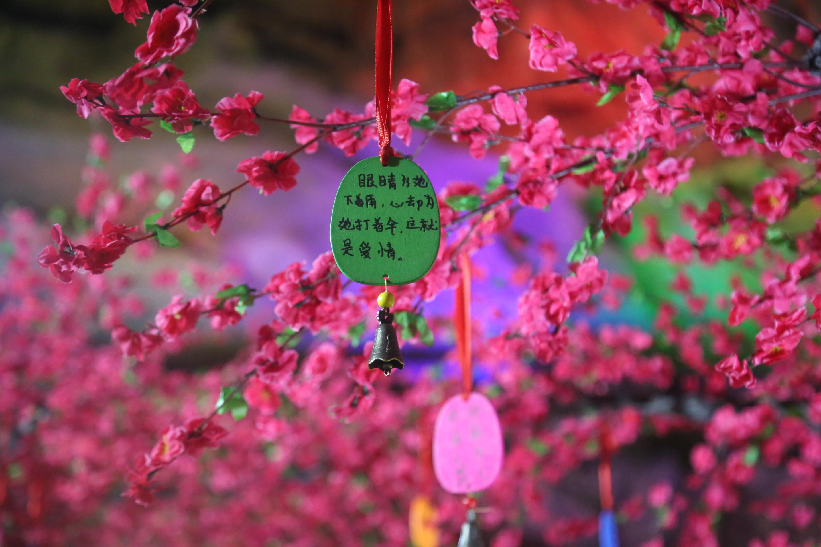 春日赏花攻略,桃红十里落英缤纷,连州上千亩桃花开好等你来看!