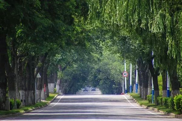 找一輛單車,或者就步行, 吹吹風,看看景, 裡口山的登山健身步道是