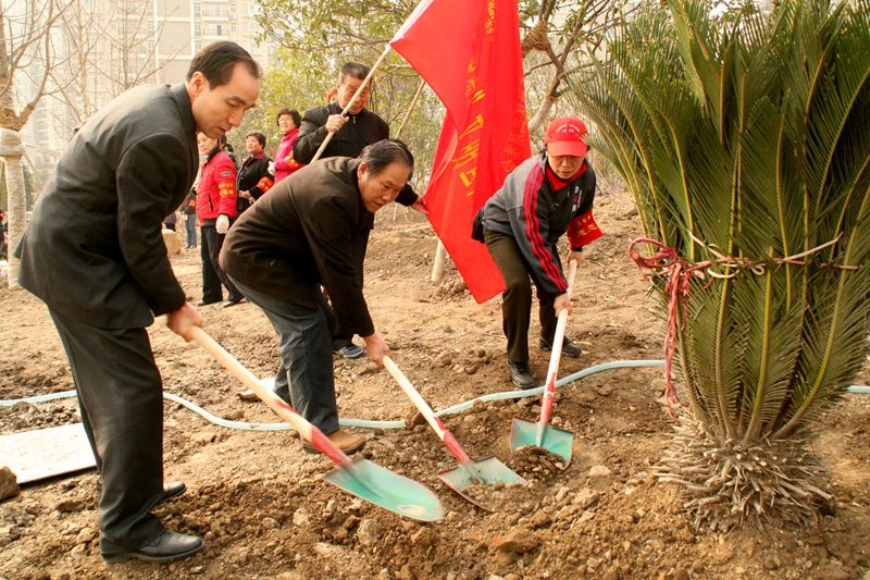 韦孝宽植树图片