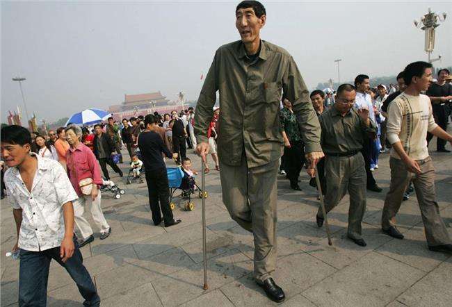 中国第一高人2.81米图片
