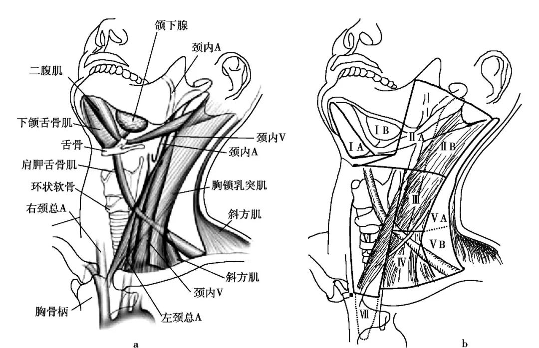 医学课堂