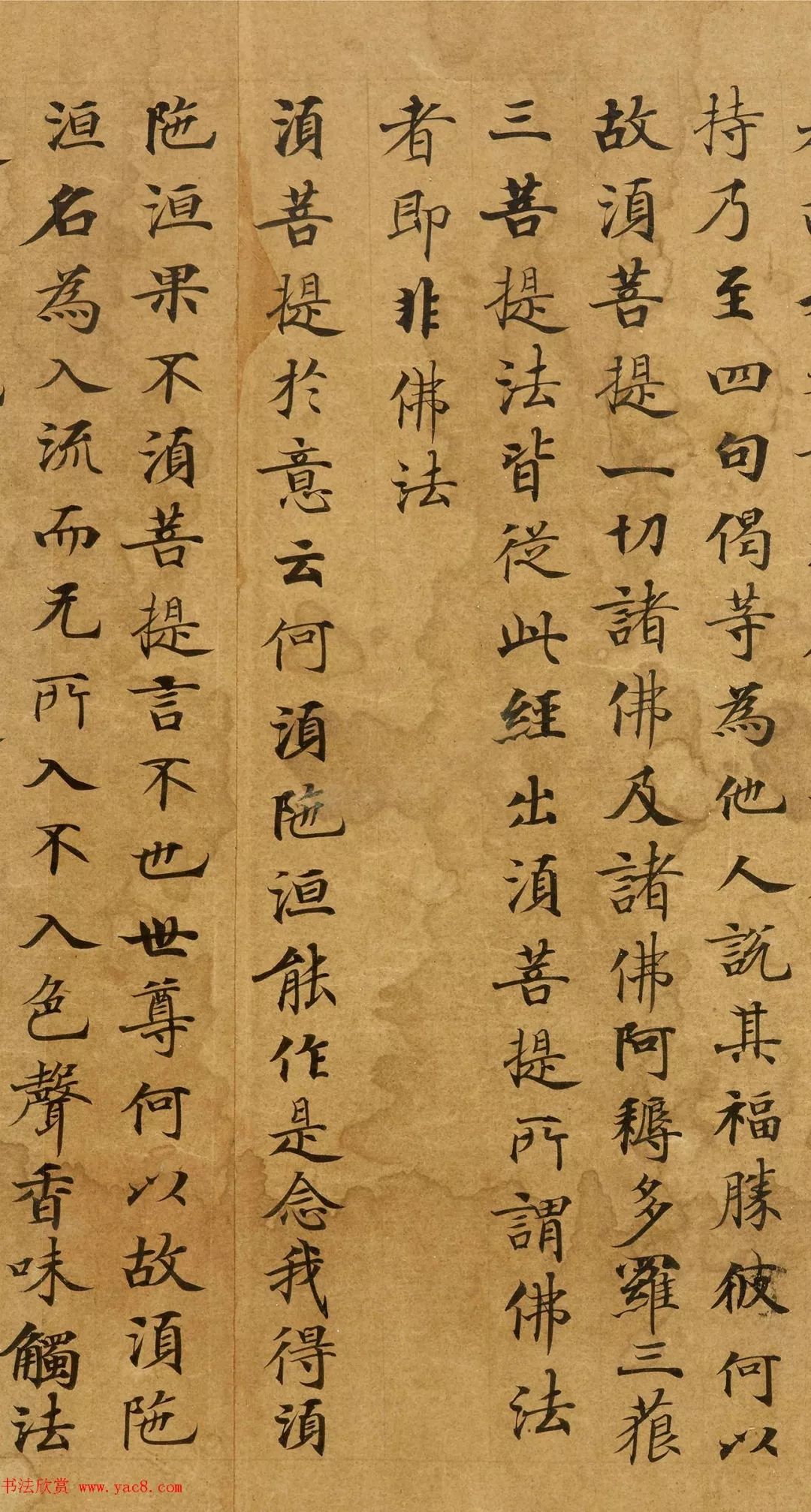 唐代劉弘珪楷書金剛經字體飄逸規整雋秀