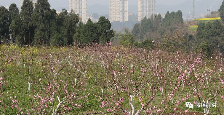 射洪市芦溪开心谷图片