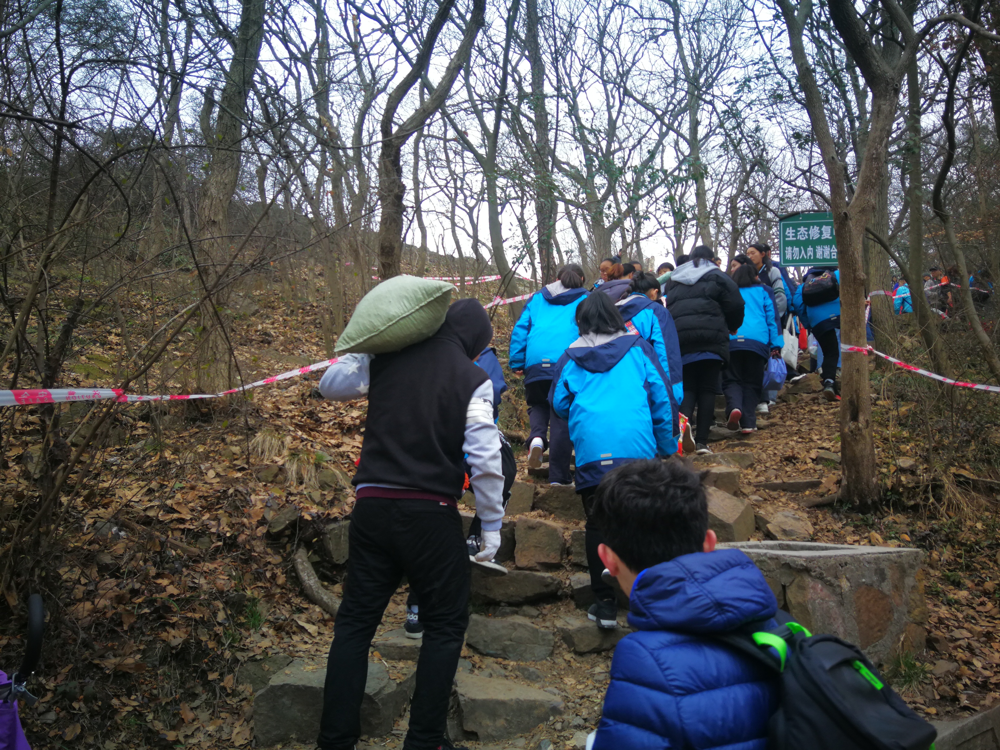 紫金山华泰登山道图片