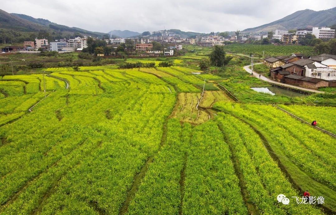 花坪村图片