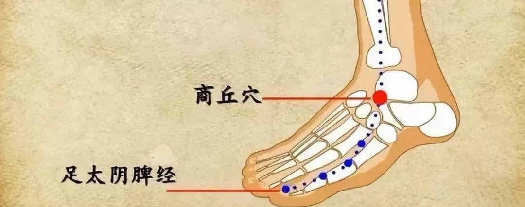 身體有炎症灸此穴可消炎還能調理腸胃治痔瘡