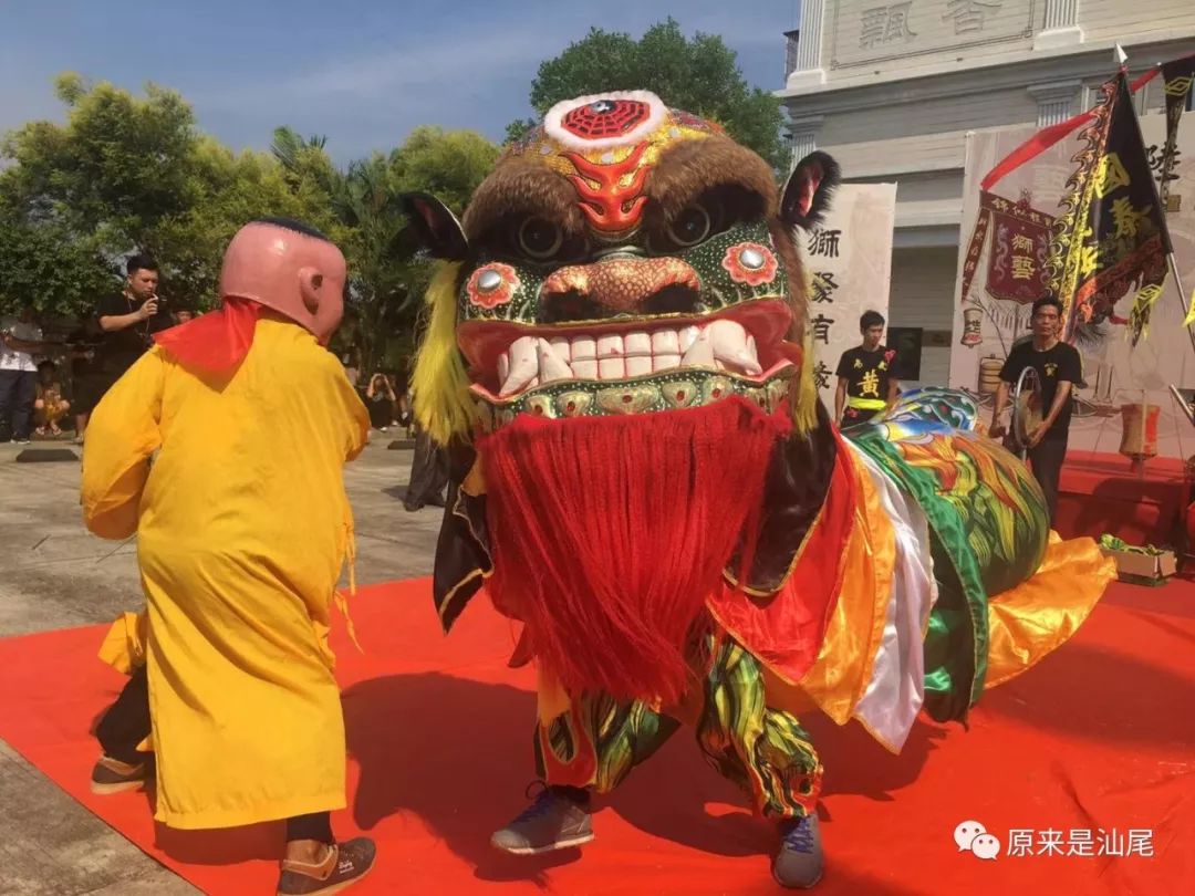 汕尾海丰南汾庄虎狮图片