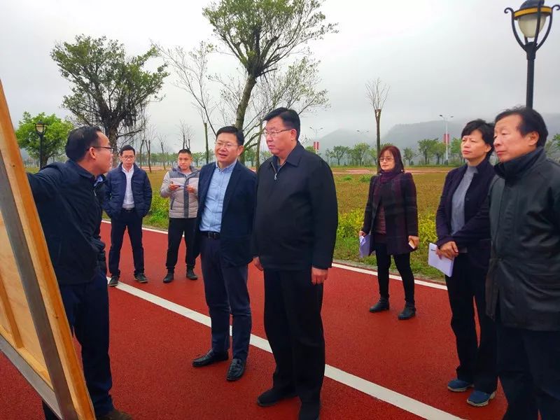 自治区文旅厅厅长甘霖到防城港市调研边境旅游试验区重大旅游项目