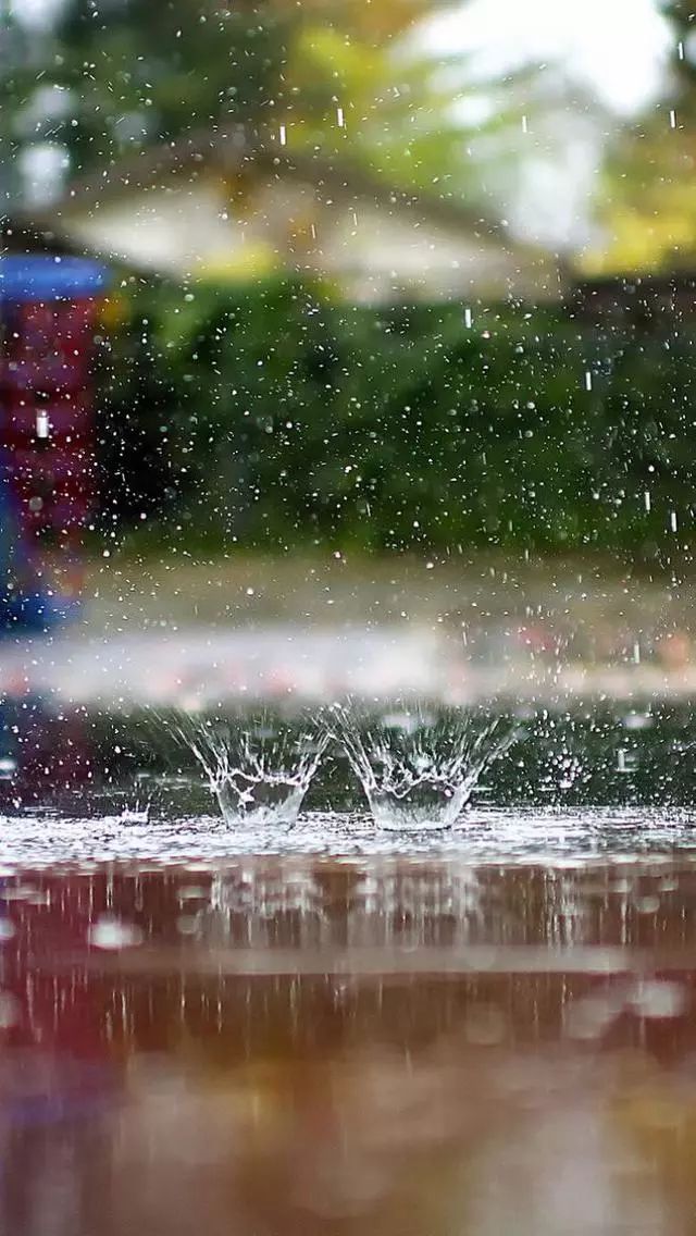 摄影不仅拍美景还能拍情绪那么雨天如何拍出意境