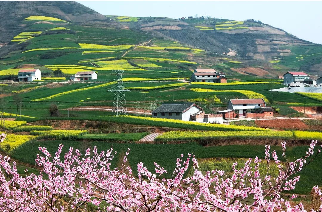 汉中油菜花图片城固县图片