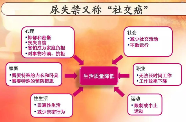 尿失禁分类图片