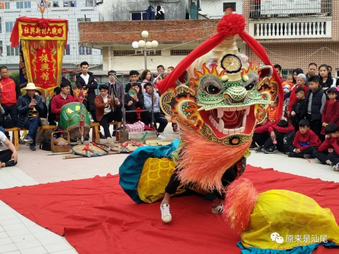 汕尾红草南汾庄虎狮图片