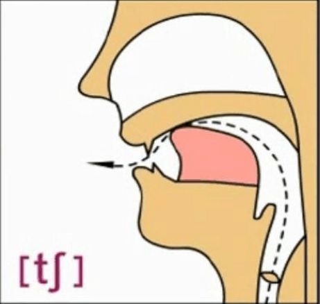 发音要领:[t06]是齿龈硬腭摩擦音一一舌位:先将舌尖抵住上齿龈,不留