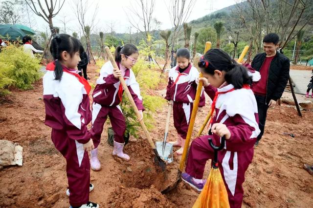 穿雨靴植树图片