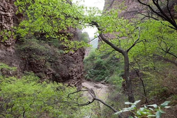 河北邢臺:九龍峽春色_風景區