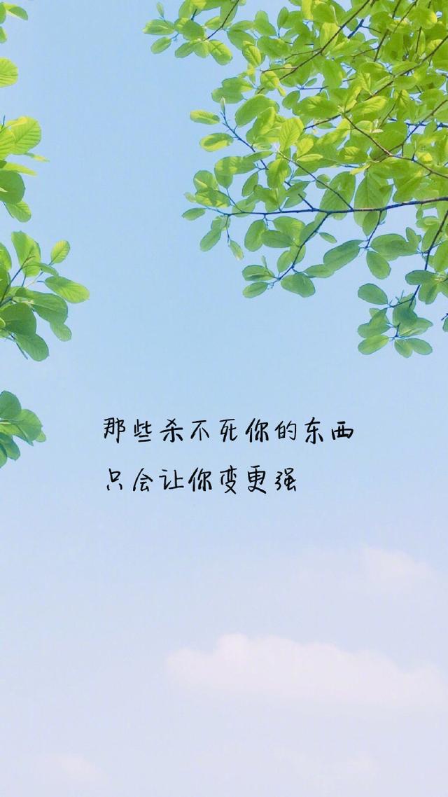 一句话励志文字手机壁纸