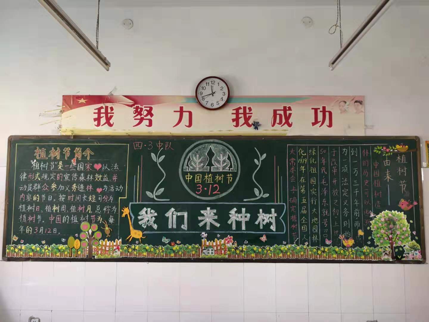 惠济区江山路第一小学开展植树节主题黑板报评比活动
