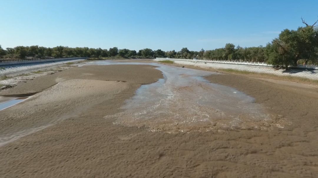 额济纳旗黑河水源图片