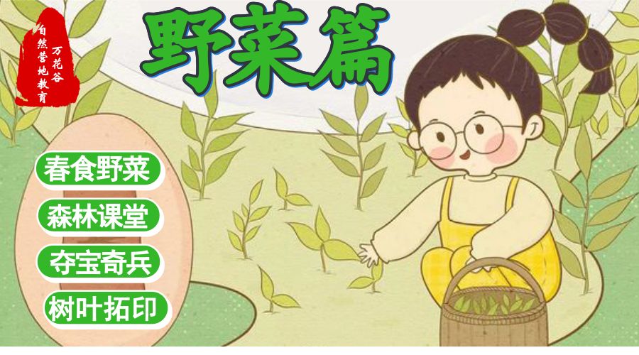 快带孩子来这里挖野菜吧