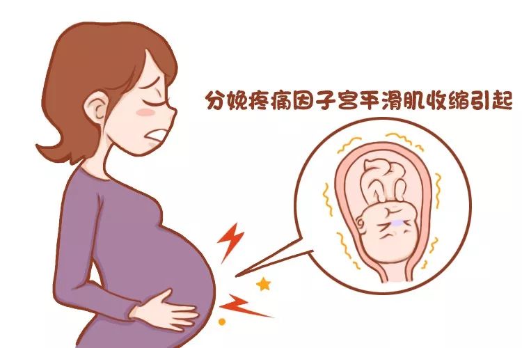 孕妇分娩疼痛图片