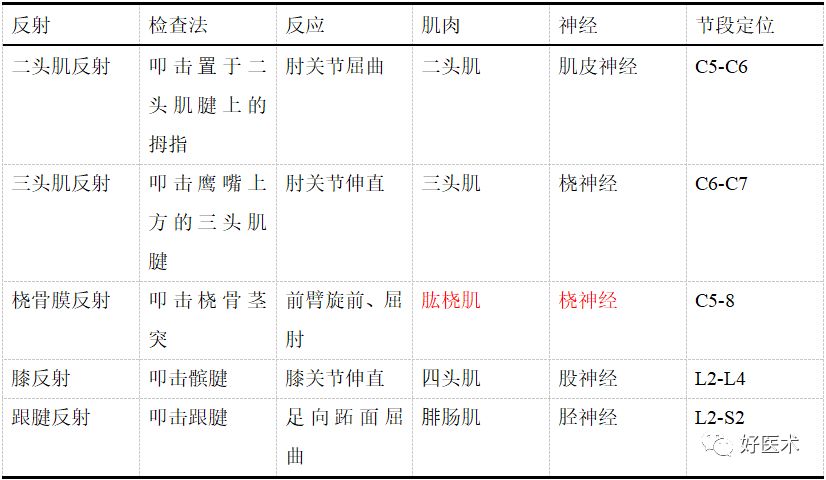 深反射浅反射反射的检查asia损伤分级正常成年人关节间隙宽度表肌力的