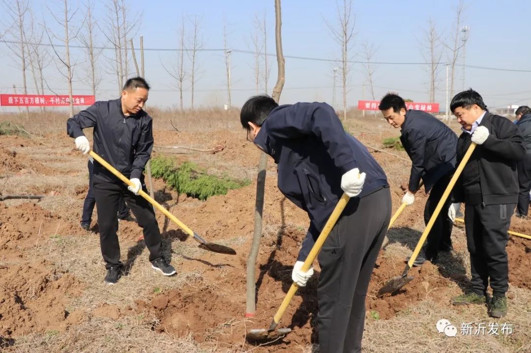 植树节为新沂增添一片新绿市委书记携四套班子齐出动今天你义务植树了