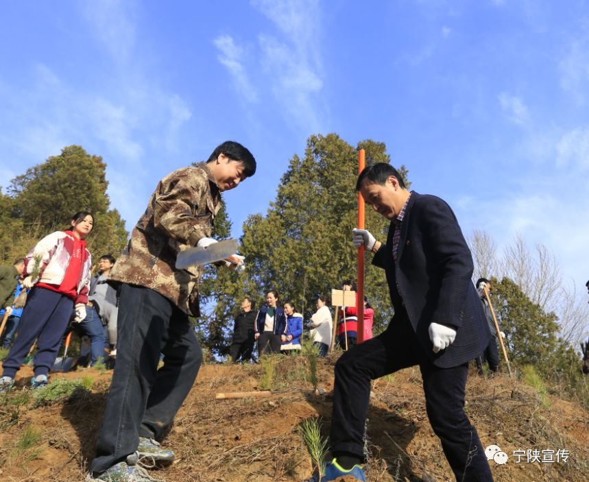 走,植树去!再给宁陕添点绿~_孙中山