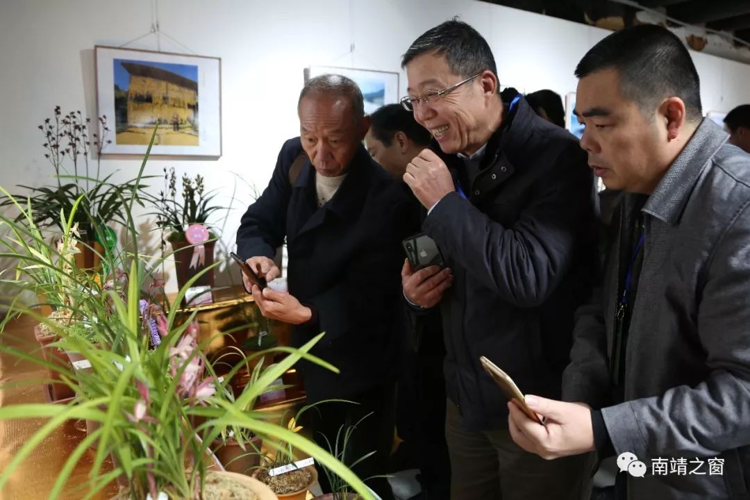 这株草,三天卖出三千五百多万!