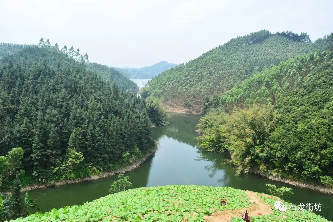 贵州石龙水库图片