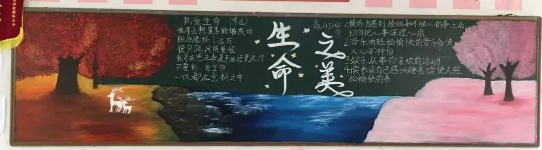 生如夏花般绚烂——记热爱生命主题黑板报评选活动