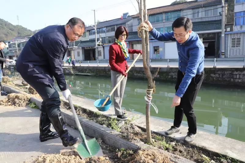 3月12日上午,杨汛桥镇全体机关干部到芝塘湖冯家湖自然村开展义务植树