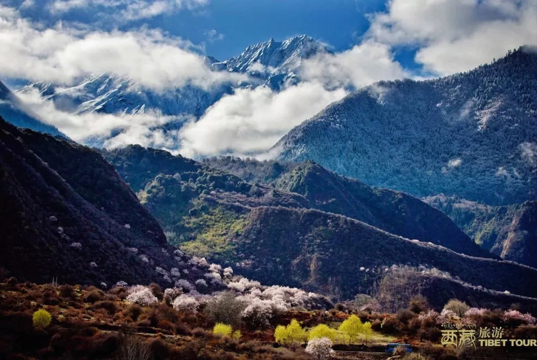 ▼圖by西藏旅遊圖庫始終是林芝地區最美的桃花仙境因為嘎拉桃花村▼圖