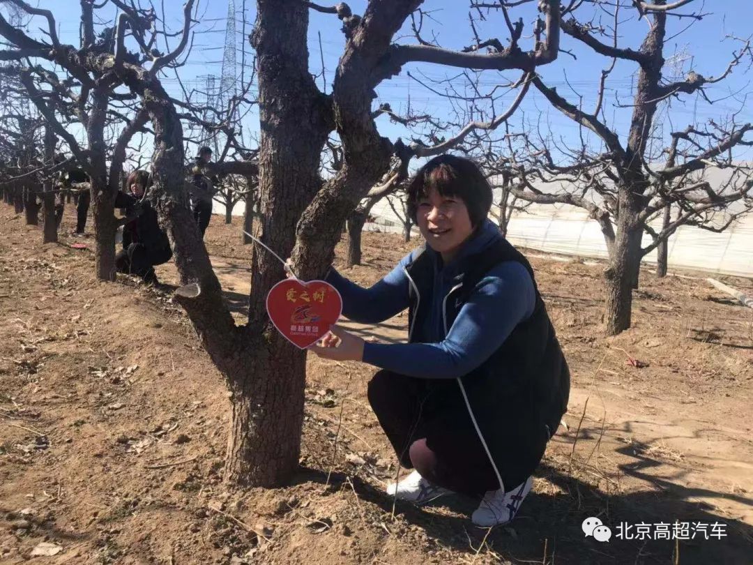 高超集團 關愛在行動 梨園認捐