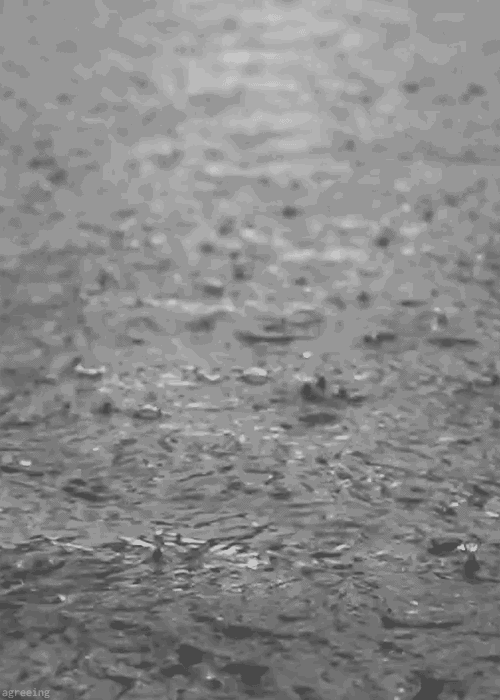 下雨的动态壁纸高清图片