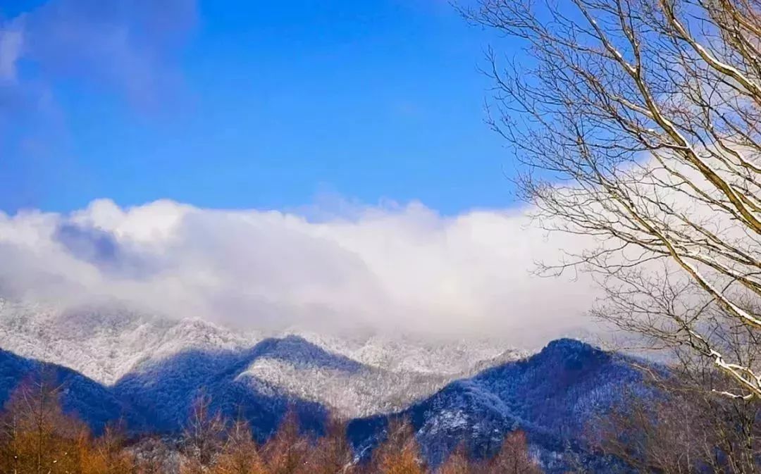 洛阳 白云深处,山上积雪难消,在大晴天下,美得很啊!