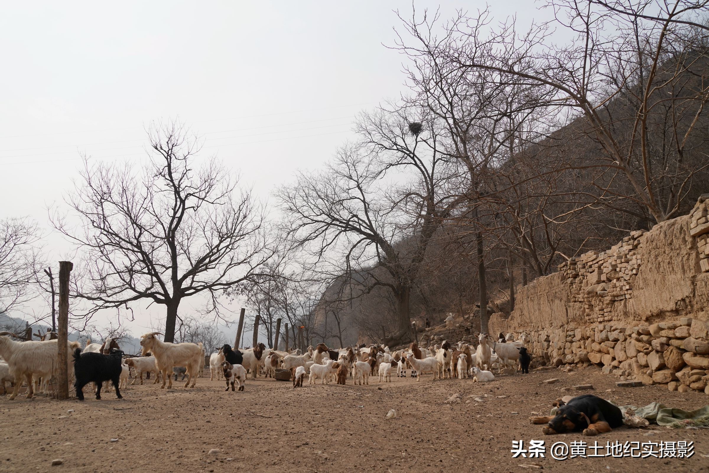 她告诉我们她姓曹,以前20多户人家的小山村,目前只有她和丈夫坚守在