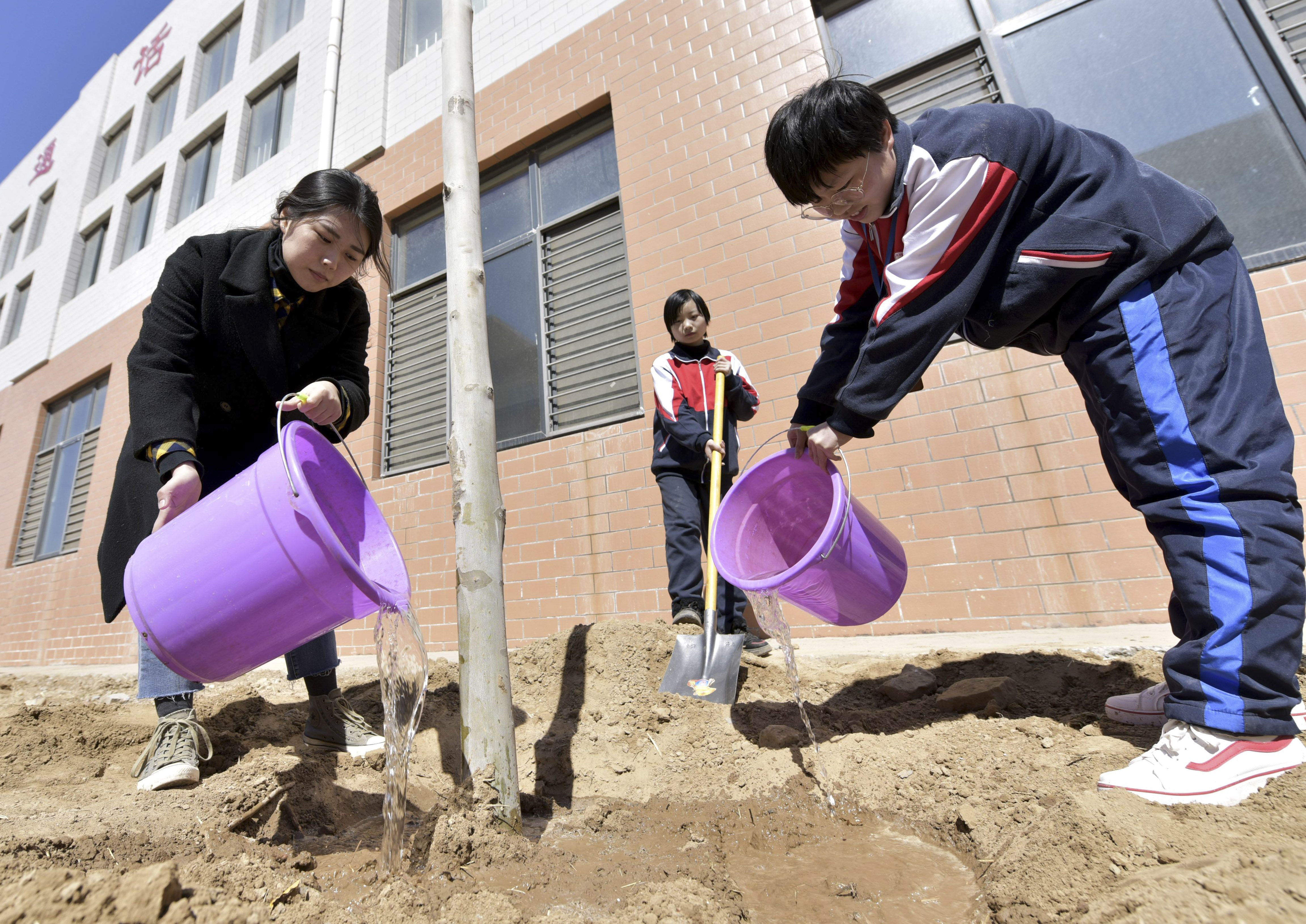 新华社照片,聊城(山东,2019年3月12日植树节里植树忙3月12日,在山东