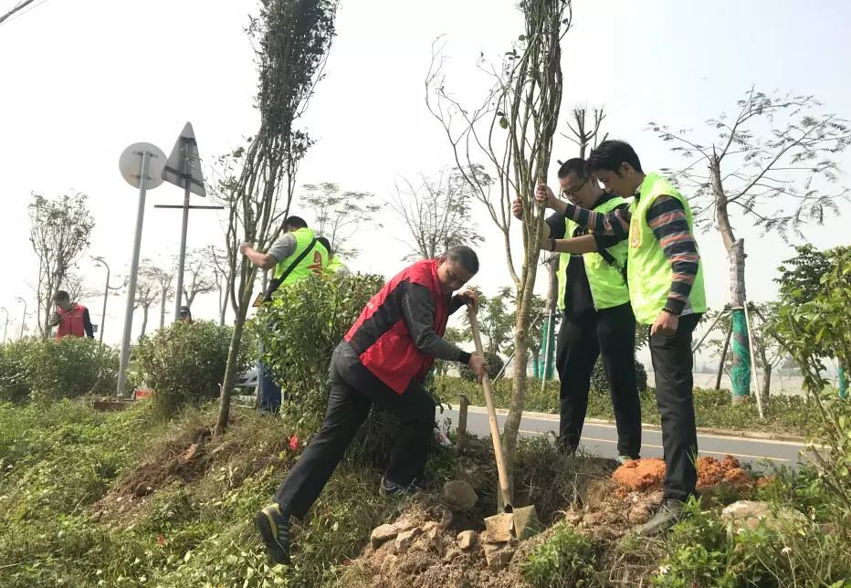 這個植樹節古勞龍舟公園吸引了數百黨員義工綠色使者來打卡