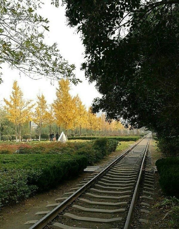 你知道鄭州東風渠濱河公園麼