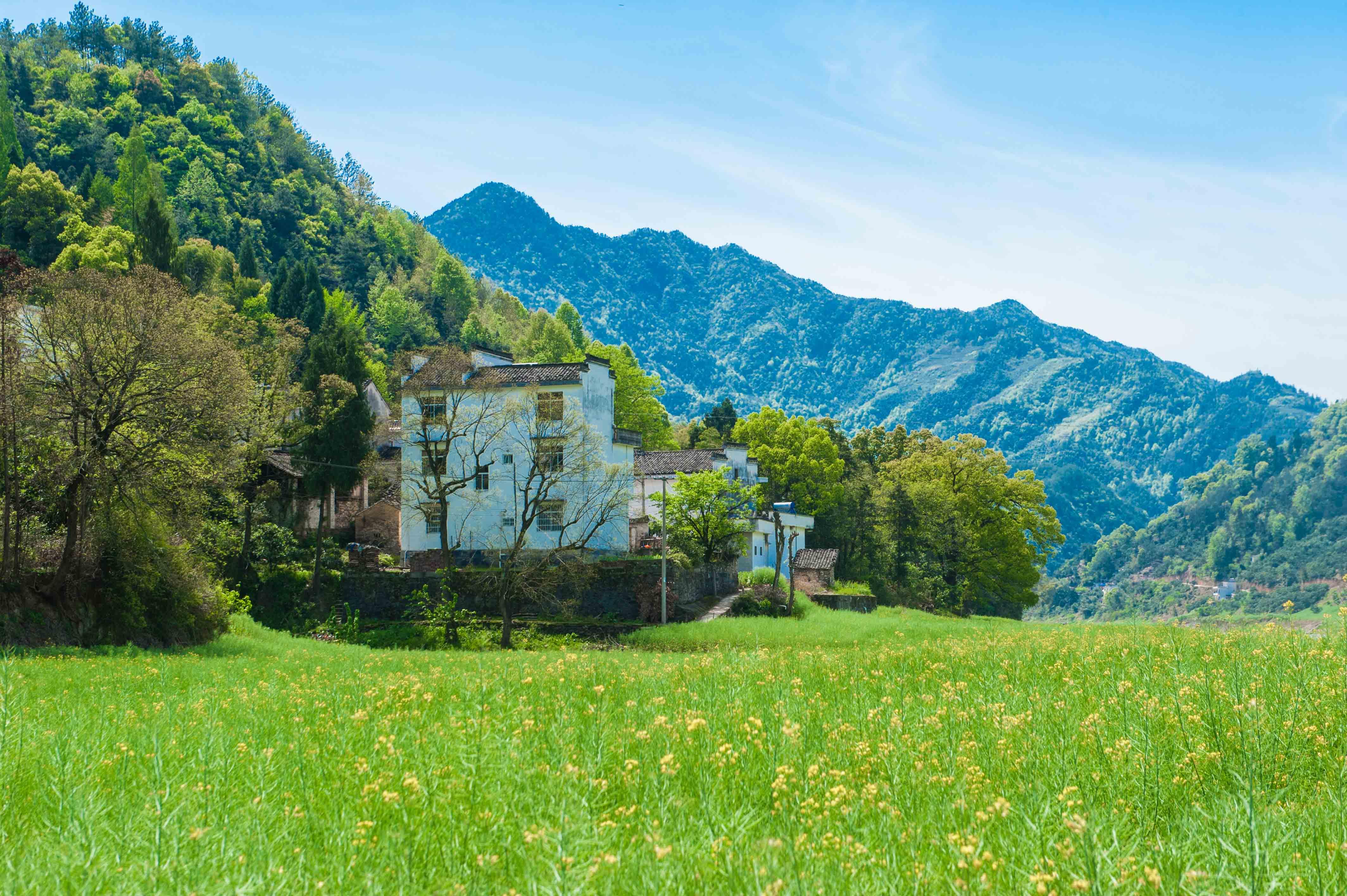 高清农村风景图片春天图片