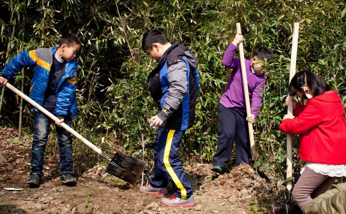 農村無需種樹城裡無樹可植的植樹節