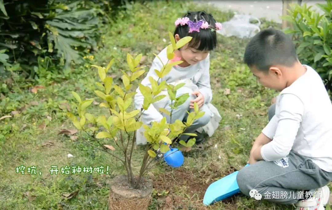 一起看大片——看小花仙的花樣植樹吧!_小朋友