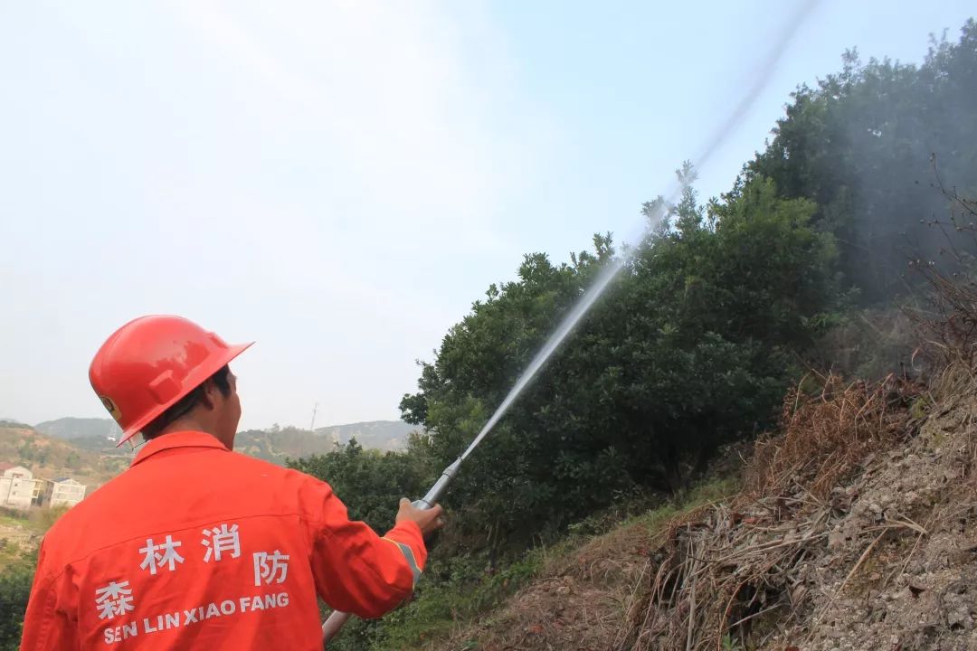 按照撲火預案規定,街道50名森林消防隊員立即帶著撲火工具趕到現場