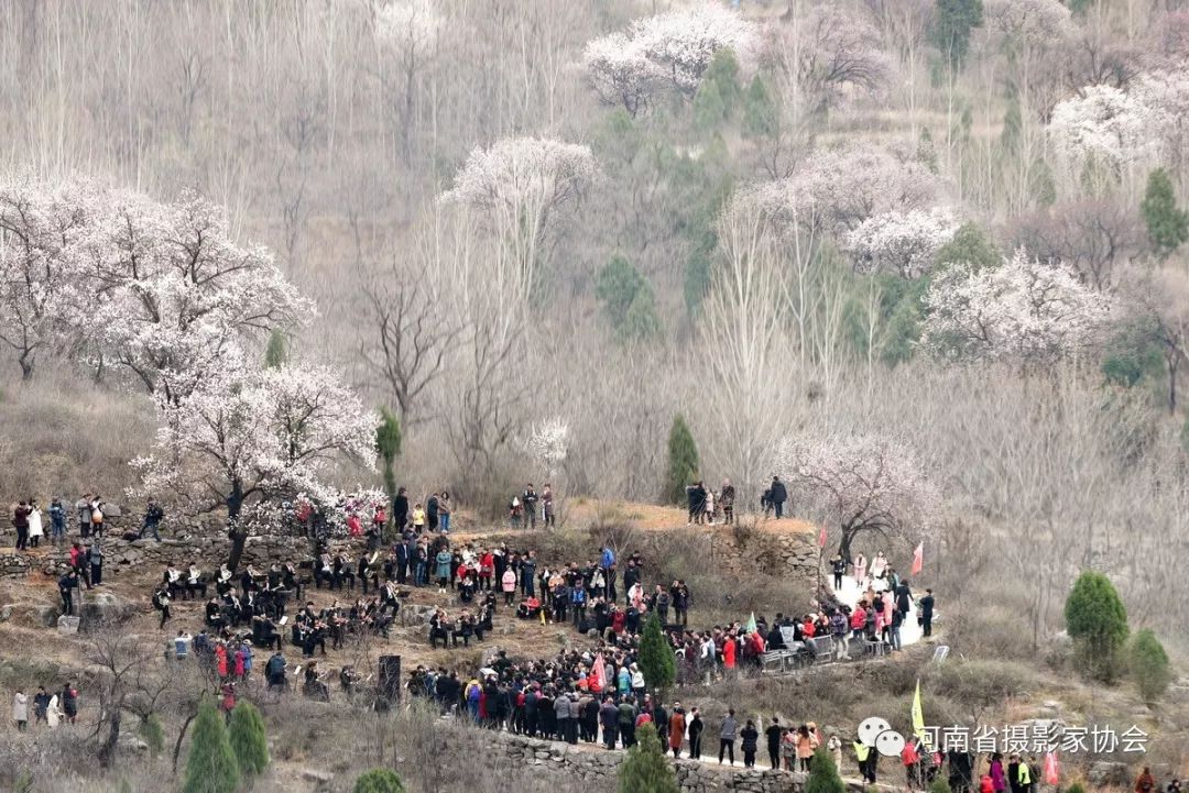 征稿2019中国61新密伏羲山杏花节聚焦美丽乡村见证发展变迁主题摄影