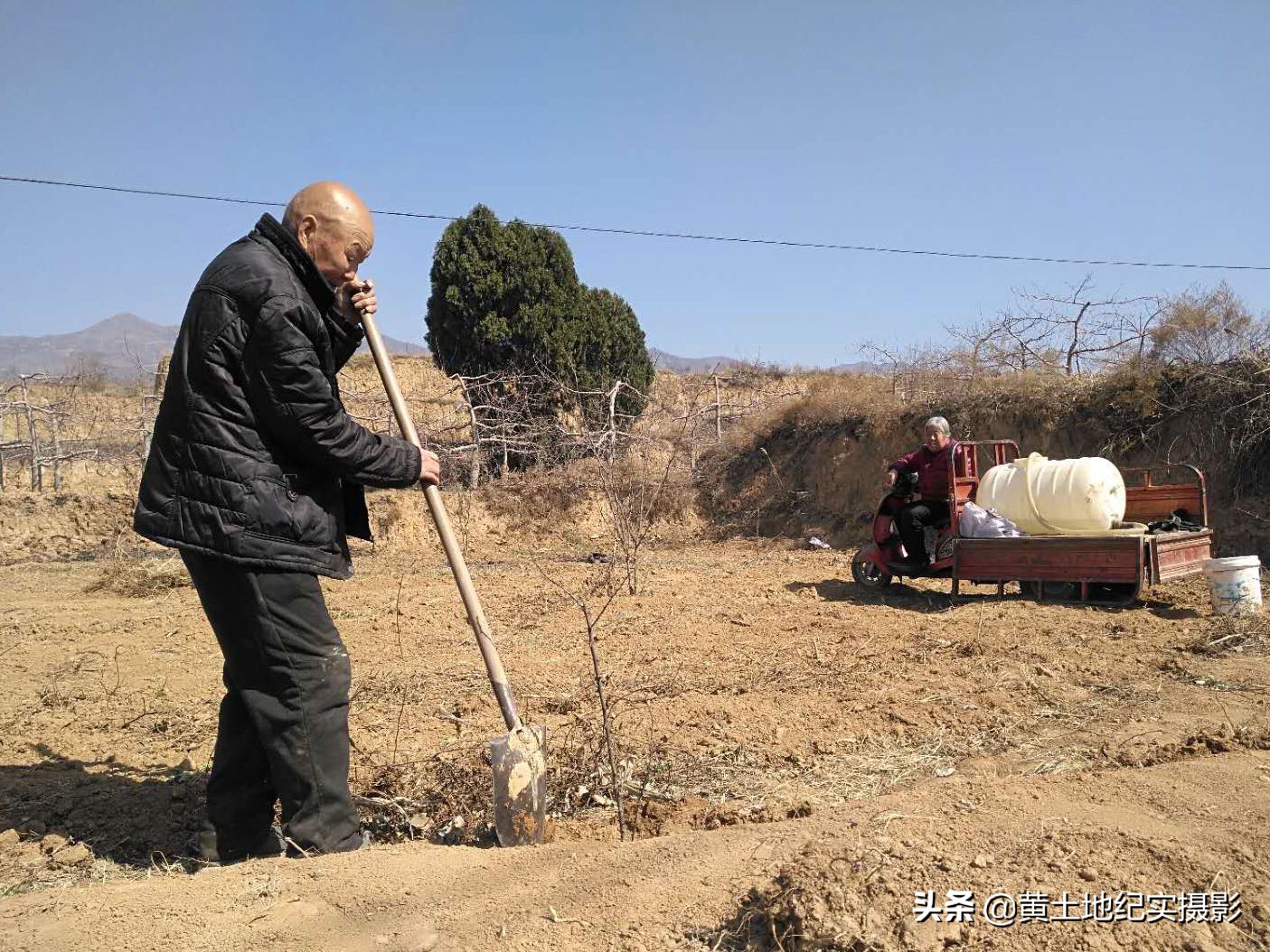 山西農村78歲老人晚年喪子,堅強面對生活,種花椒供孫子上大學