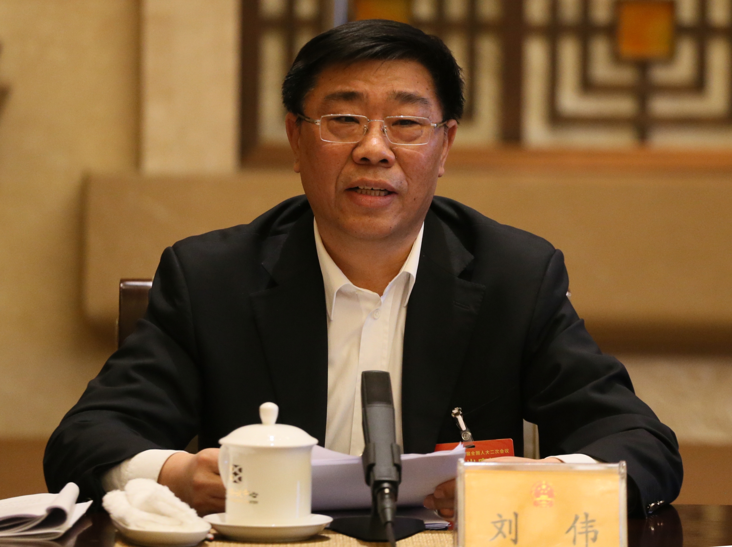 刘伟代表:建议对违法建设等违法行为提起公益诉讼