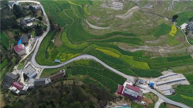 3月11日拍摄的玉屏侗族自治县田坪镇马家屯村"组组通"硬化路(无人机