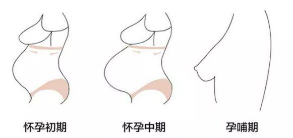 刚怀孕时乳房图片图片