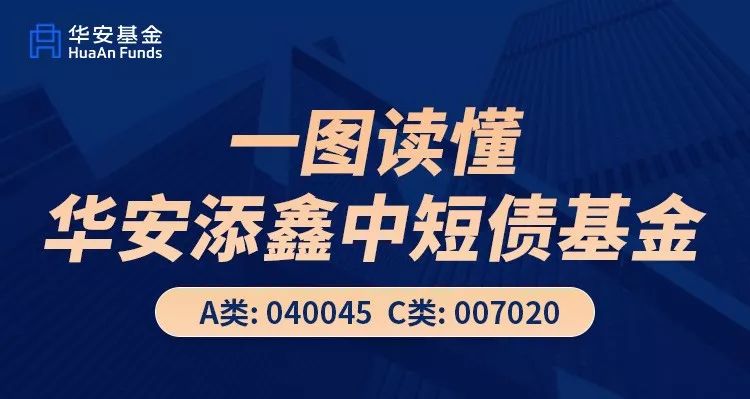 一份稳健资产 为组合增加安全垫 一份闲置资金 别忘了去年的"c位基金